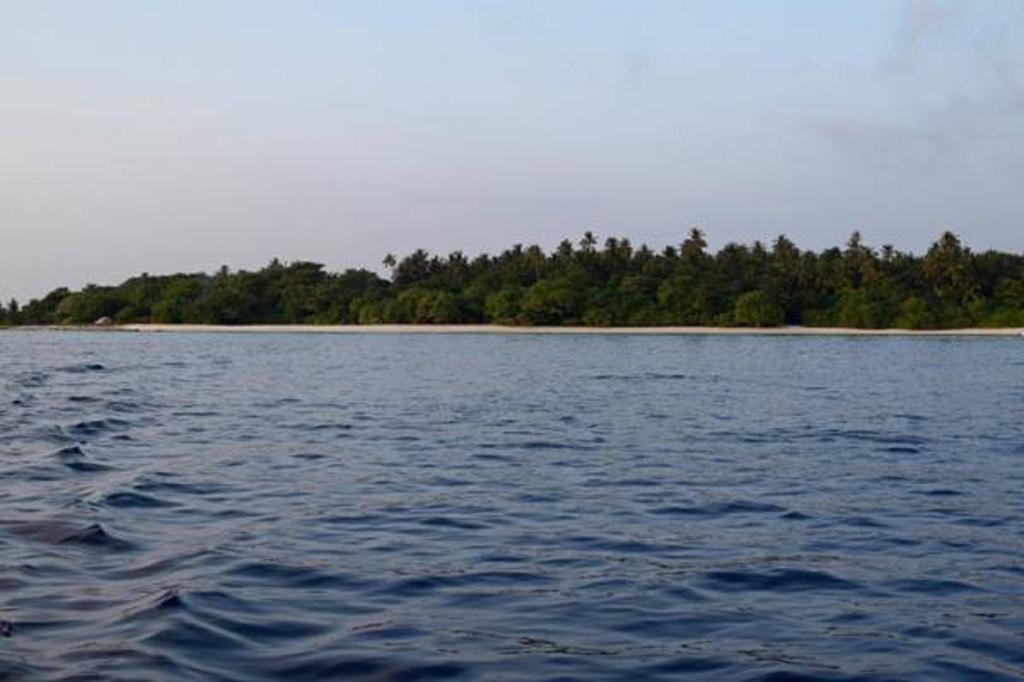 Madi Finolhu Guest House Dharavandhoo Dış mekan fotoğraf