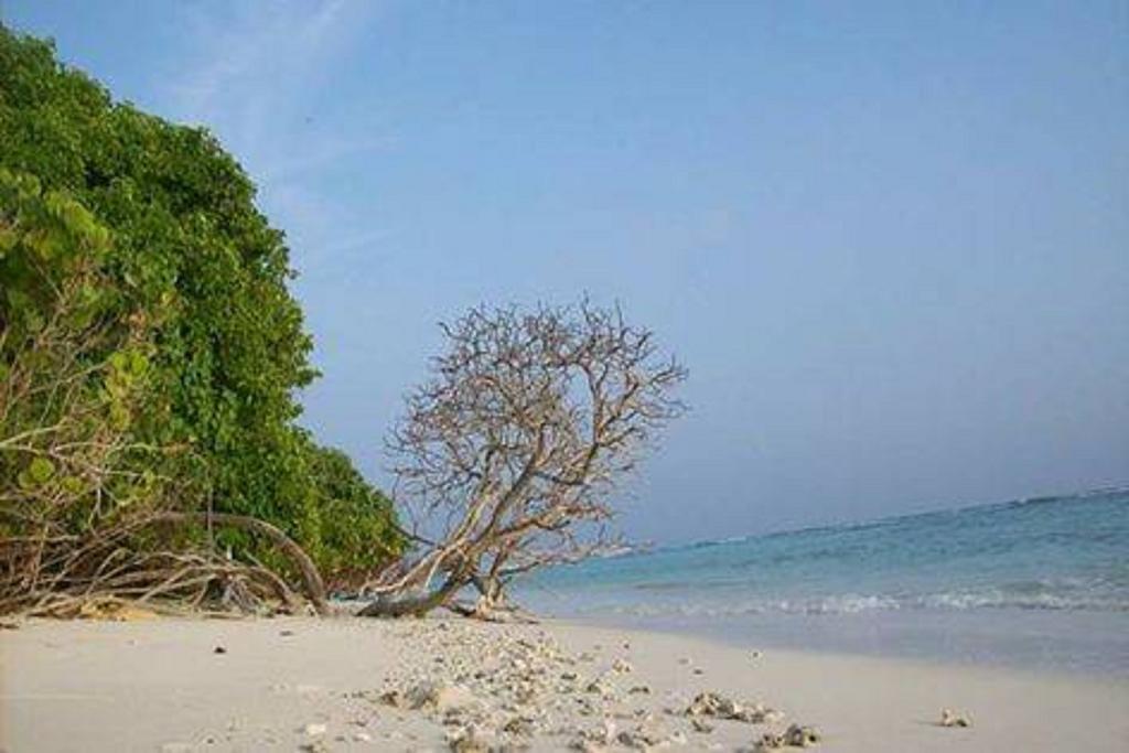 Madi Finolhu Guest House Dharavandhoo Dış mekan fotoğraf