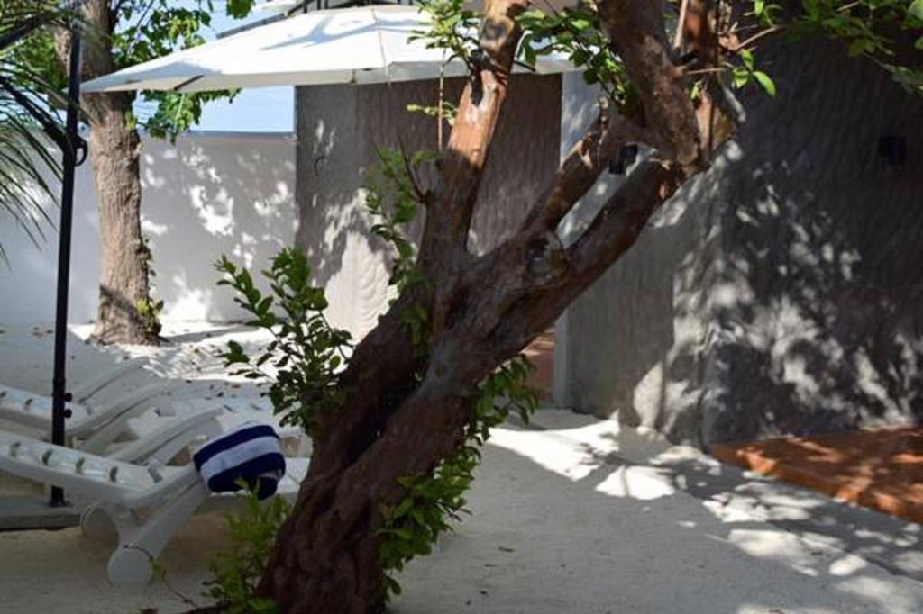 Madi Finolhu Guest House Dharavandhoo Dış mekan fotoğraf
