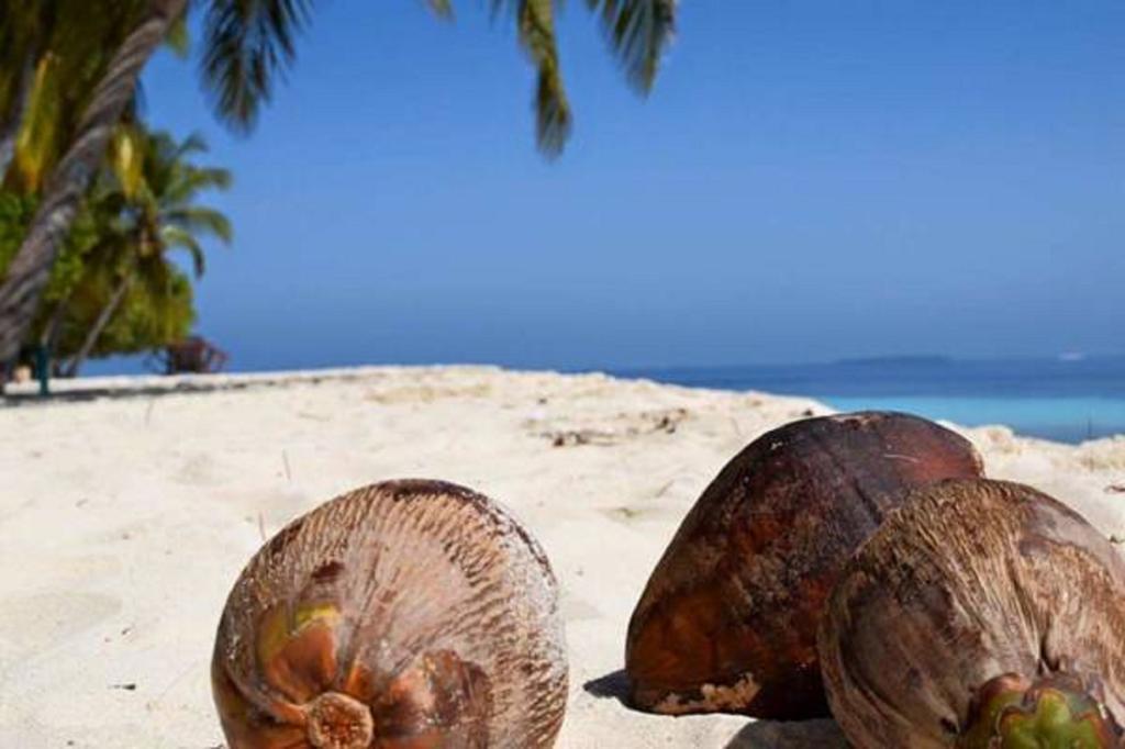 Madi Finolhu Guest House Dharavandhoo Dış mekan fotoğraf