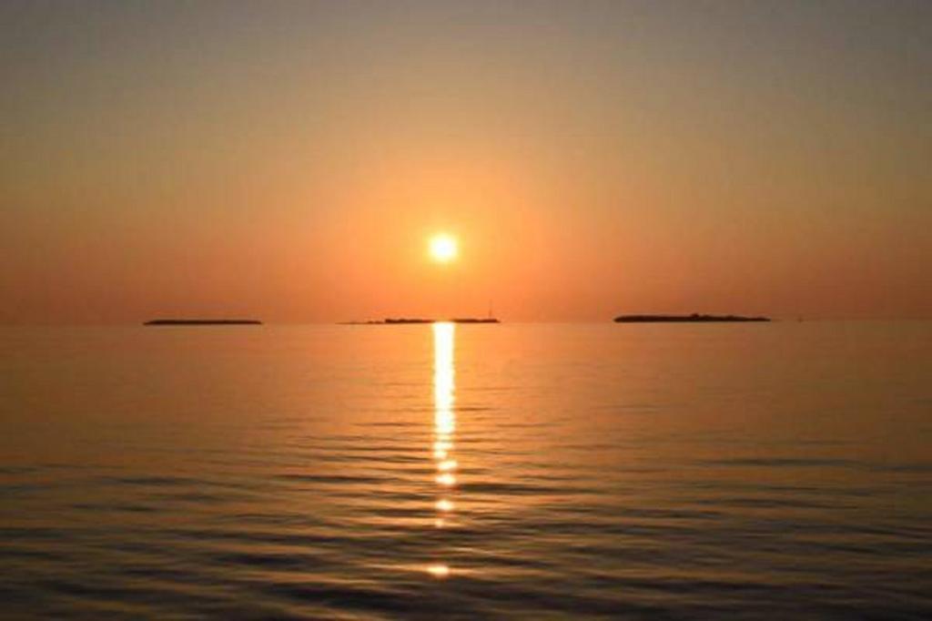 Madi Finolhu Guest House Dharavandhoo Dış mekan fotoğraf