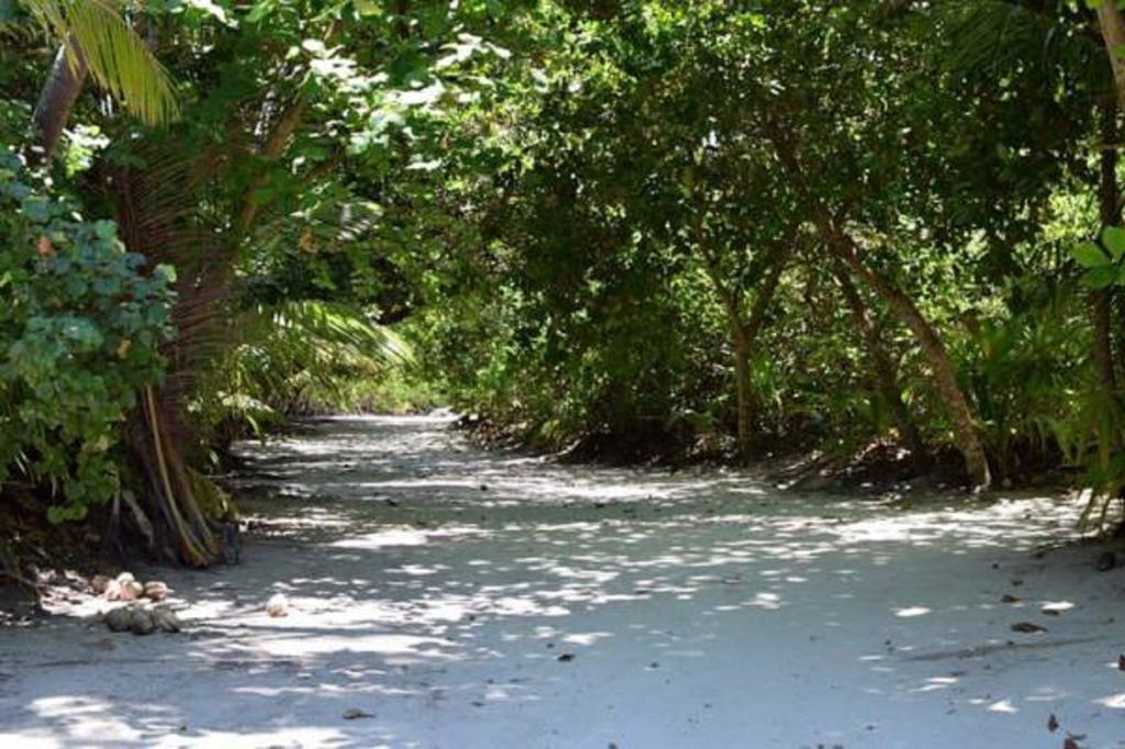 Madi Finolhu Guest House Dharavandhoo Dış mekan fotoğraf